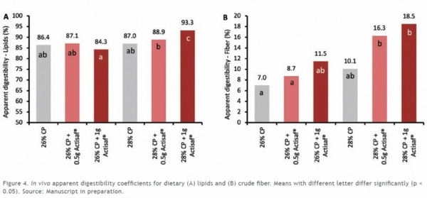 Yeast probiotics to boost fish gut health and improve feed efficiency - Image 3