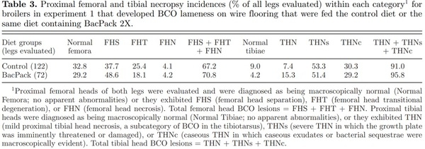 Prophylactic administration of a combined prebiotic and probiotic, or therapeutic administration of enrofloxacin, to reduce the incidence of bacterial chondronecrosis with osteomyelitis in broilers - Image 5