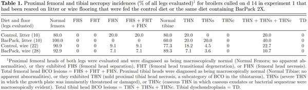 Prophylactic administration of a combined prebiotic and probiotic, or therapeutic administration of enrofloxacin, to reduce the incidence of bacterial chondronecrosis with osteomyelitis in broilers - Image 1