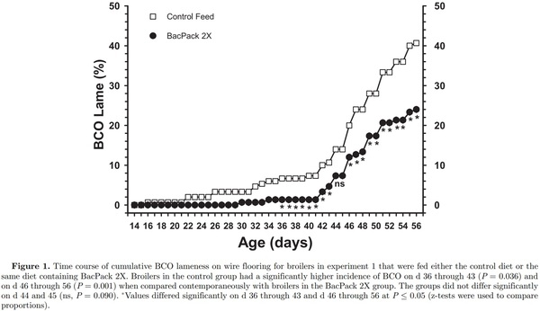 Prophylactic administration of a combined prebiotic and probiotic, or therapeutic administration of enrofloxacin, to reduce the incidence of bacterial chondronecrosis with osteomyelitis in broilers - Image 3