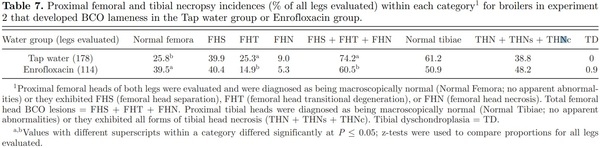 Prophylactic administration of a combined prebiotic and probiotic, or therapeutic administration of enrofloxacin, to reduce the incidence of bacterial chondronecrosis with osteomyelitis in broilers - Image 12