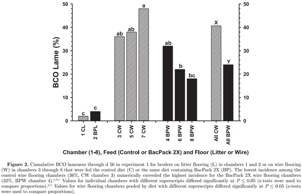 Prophylactic administration of a combined prebiotic and probiotic, or therapeutic administration of enrofloxacin, to reduce the incidence of bacterial chondronecrosis with osteomyelitis in broilers - Image 4