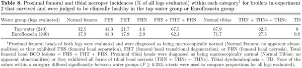 Prophylactic administration of a combined prebiotic and probiotic, or therapeutic administration of enrofloxacin, to reduce the incidence of bacterial chondronecrosis with osteomyelitis in broilers - Image 13