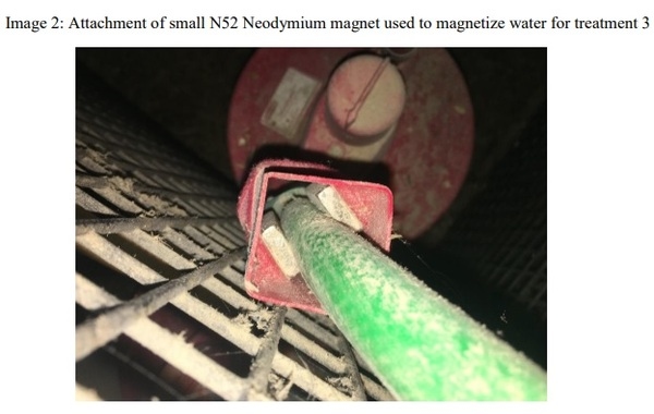 The Effect of Magnetic Water on Feed Conversion Ratio, Body Weight Gain, Feed Intake and Livability of Male Broiler Chickens - Image 2