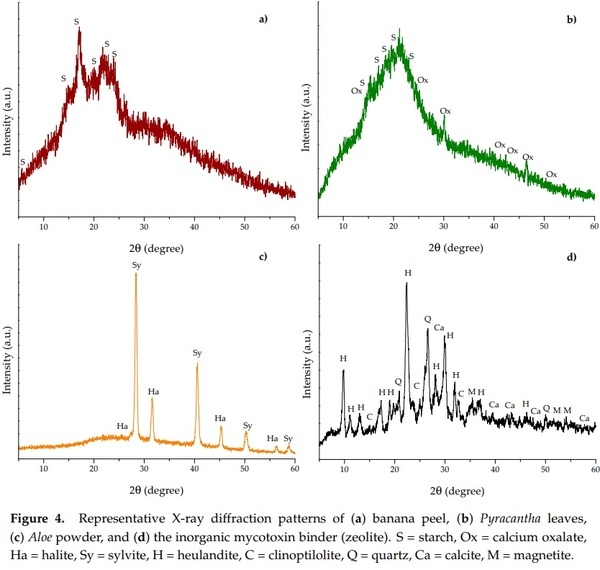 Assessing the Aflatoxin B1 Adsorption Capacity between Biosorbents Using an In Vitro Multicompartmental Model Simulating the Dynamic Conditions in the Gastrointestinal Tract of Poultry - Image 5