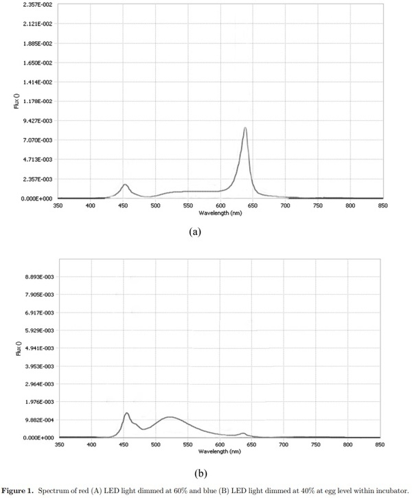 Providing colored photoperiodic light stimulation during incubation: 1. Effects on embryo development and hatching performance in broiler hatching eggs - Image 1
