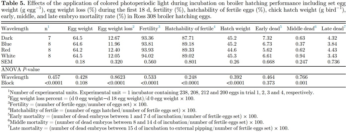 Providing colored photoperiodic light stimulation during incubation: 1. Effects on embryo development and hatching performance in broiler hatching eggs - Image 7