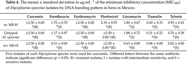 Isolation and Antimicrobial Sensitivity of Mycoplasma synoviae and Mycoplasma gallisepticum from Vaccinated Hens in Mexico - Image 4