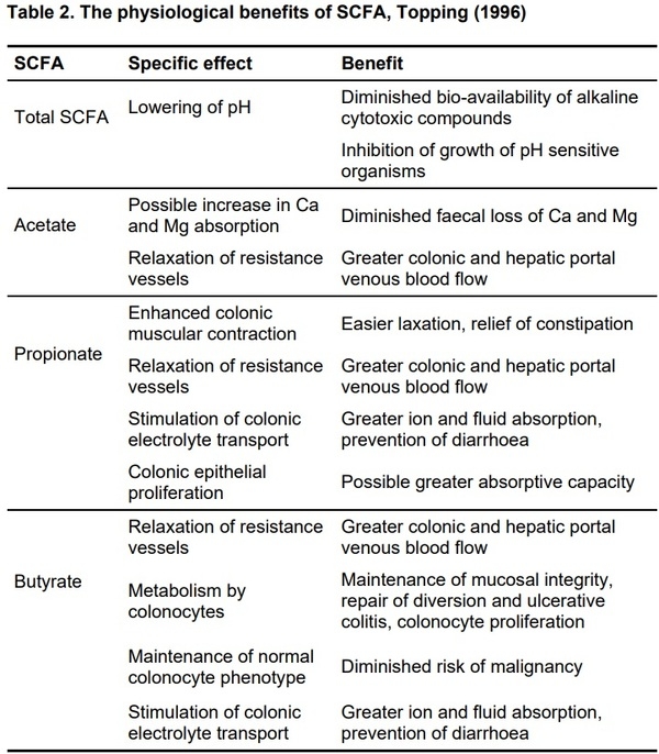 Organic Acids as Potential Alternatives to Antibiotic Growth Promoters for Pigs - Image 6
