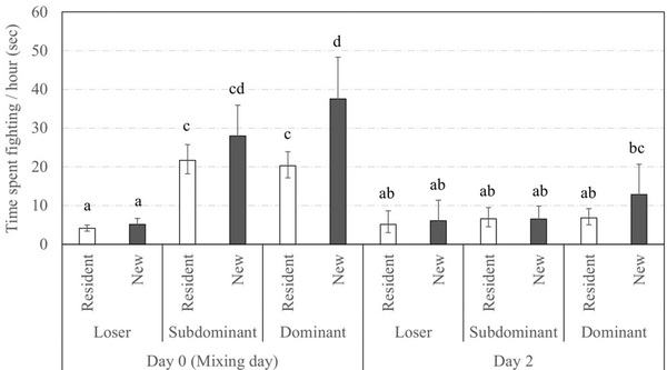 Social status and previous experience in the group as predictors of welfare of sows housed in large semi-static groups - Image 9