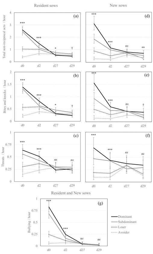 Social status and previous experience in the group as predictors of welfare of sows housed in large semi-static groups - Image 6