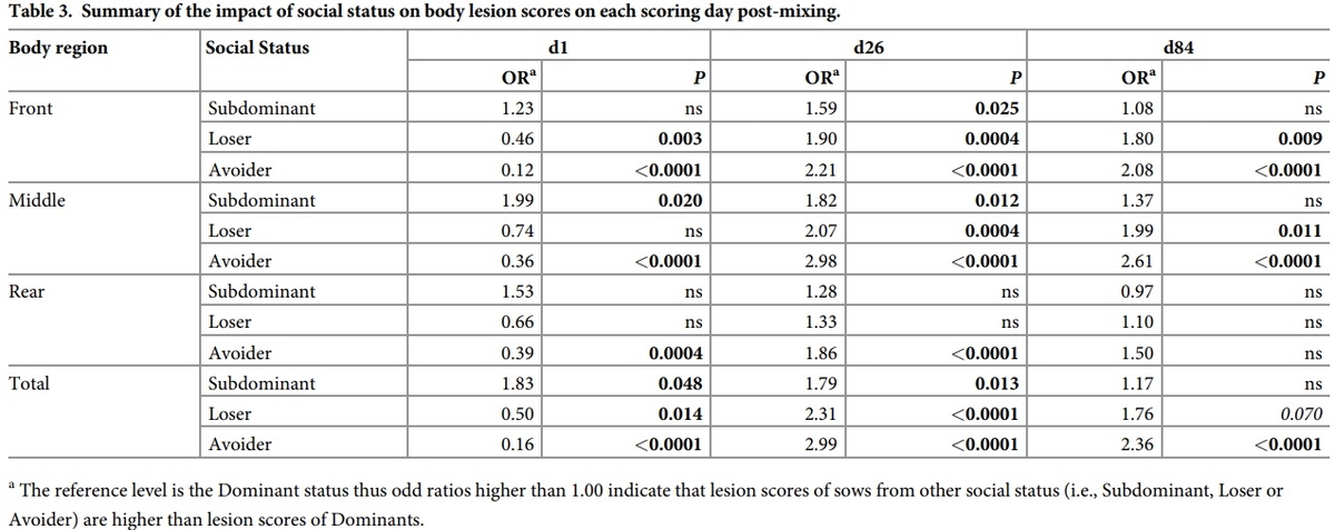 Social status and previous experience in the group as predictors of welfare of sows housed in large semi-static groups - Image 5