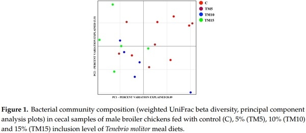 Yellow Mealworm Inclusion in Diets for Heavy-Size Broiler Chickens: Implications for Intestinal Microbiota and Mucin Dynamics - Image 1