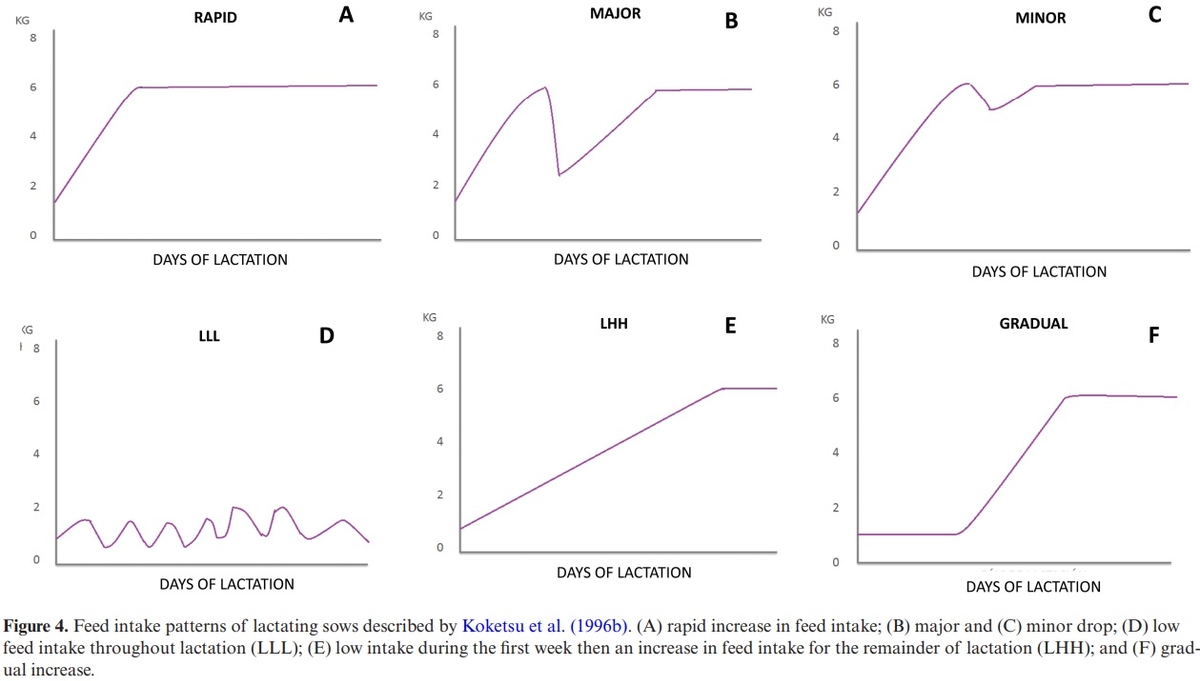 Big (pig) data and the internet of the swine things: a new paradigm in the industry - Image 7