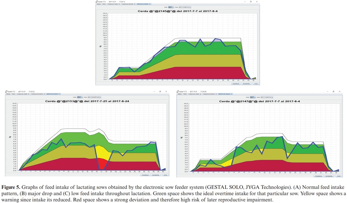 Big (pig) data and the internet of the swine things: a new paradigm in the industry - Image 9