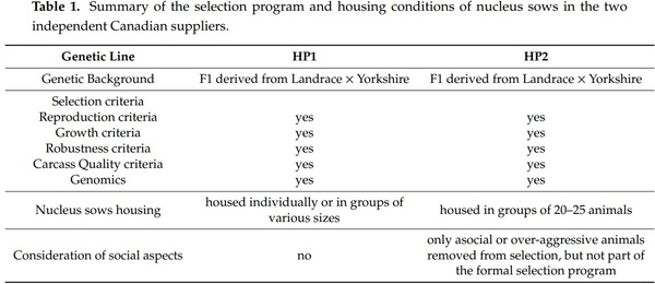 The Role of Genetic Selection on Agonistic Behavior and Welfare of Gestating Sows Housed in Large Semi-Static Groups - Image 1