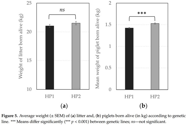 The Role of Genetic Selection on Agonistic Behavior and Welfare of Gestating Sows Housed in Large Semi-Static Groups - Image 10
