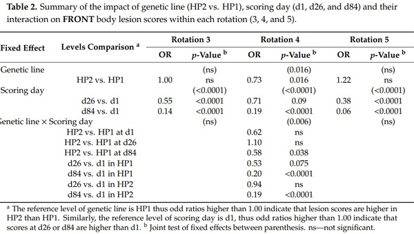 The Role of Genetic Selection on Agonistic Behavior and Welfare of Gestating Sows Housed in Large Semi-Static Groups - Image 4