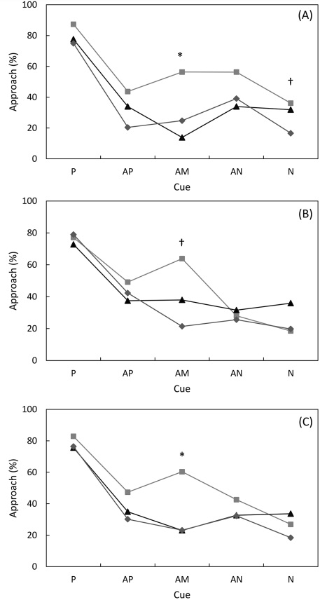 The Way Humans Behave Modulates the Emotional State of Piglets - Image 3