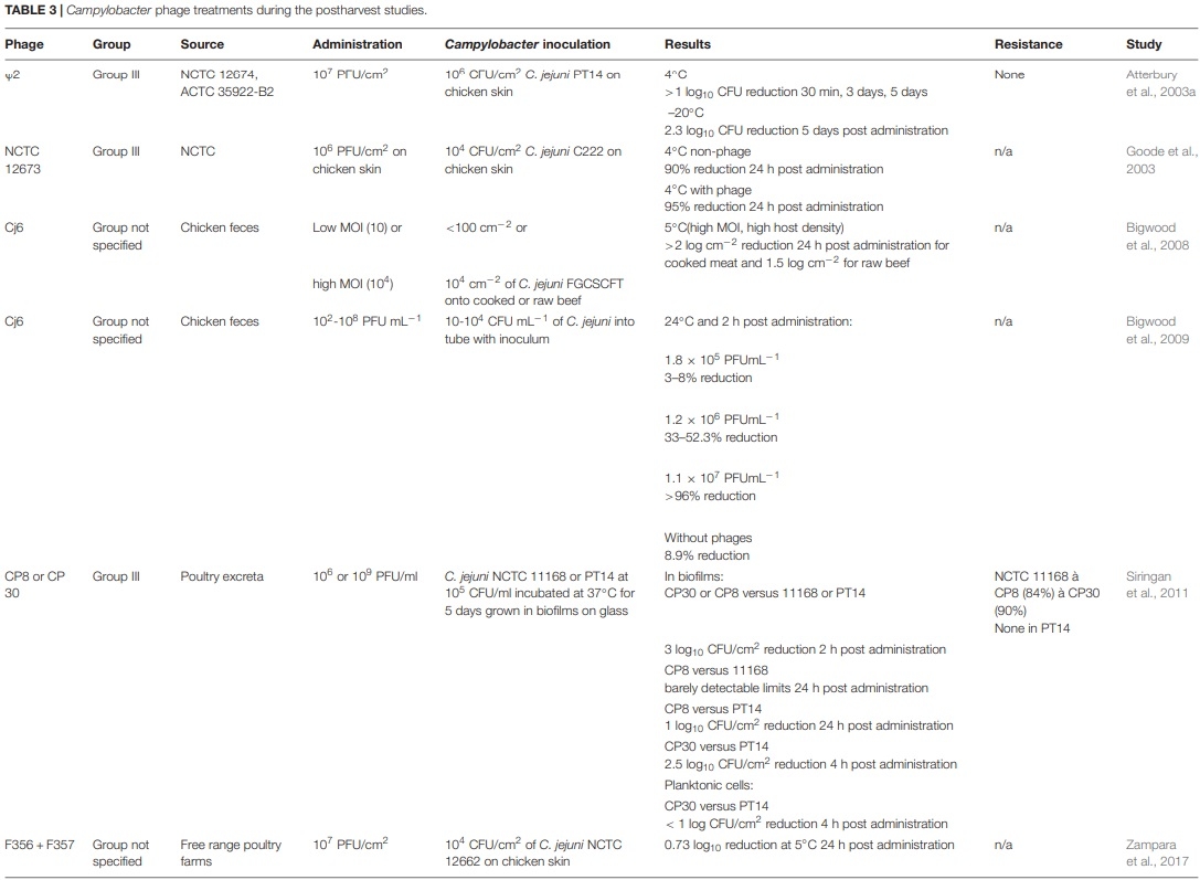 Application of Bacteriophages to Limit Campylobacter in Poultry Production - Image 7