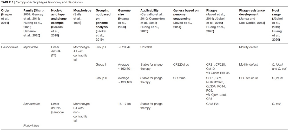 Application of Bacteriophages to Limit Campylobacter in Poultry Production - Image 1