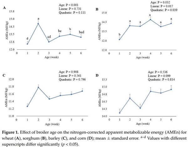 Influence of Broiler Age on the Apparent Metabolizable Energy of Cereal Grains Determined Using the Substitution Method - Image 4