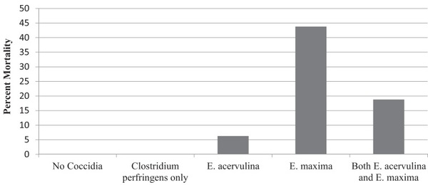 An optimist’s view on limiting necrotic enteritis and maintaining broiler gut health and performance in today’s marketing, food safety, and regulatory climate - Image 5