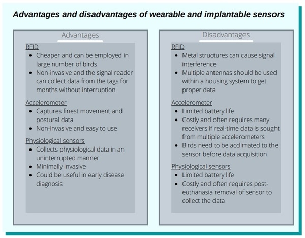 Technology to monitor poultry welfare: wearables and implantables - Image 2