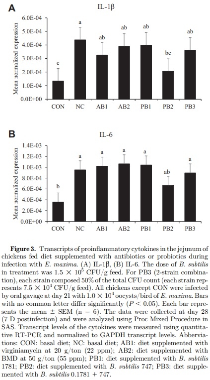 The effects of dietary Bacillus subtilis supplementation, as an alternative to antibiotics, on growth performance, intestinal immunity, and epithelial barrier integrity in broiler chickens infected with Eimeria maxima - Image 5