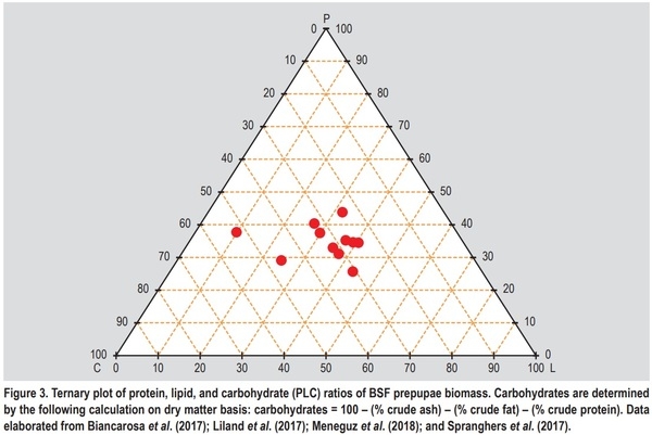 Substrate as insect feed for bio-mass production - Image 3