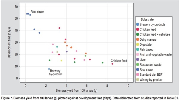 Substrate as insect feed for bio-mass production - Image 8