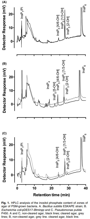 Improved sensitivity, accuracy and prediction provided by a high-performance liquid chromatography screen for the isolation of phytase-harbouring organisms from environmental samples - Image 1