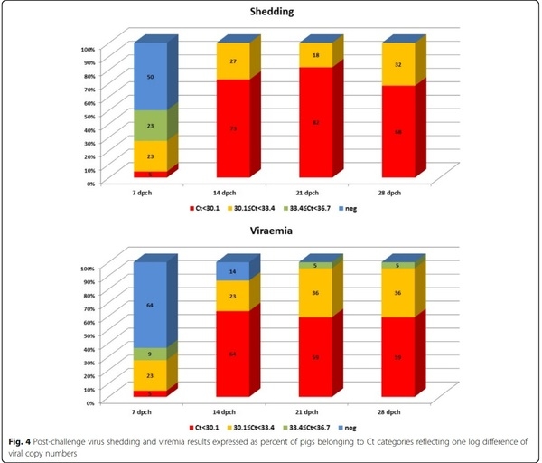 Characterization of a PCV2d-2 isolate by experimental infection of pigs - Image 4