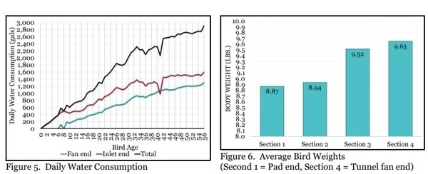 Uneven Bird Distribution Can Prove Costly - Image 1