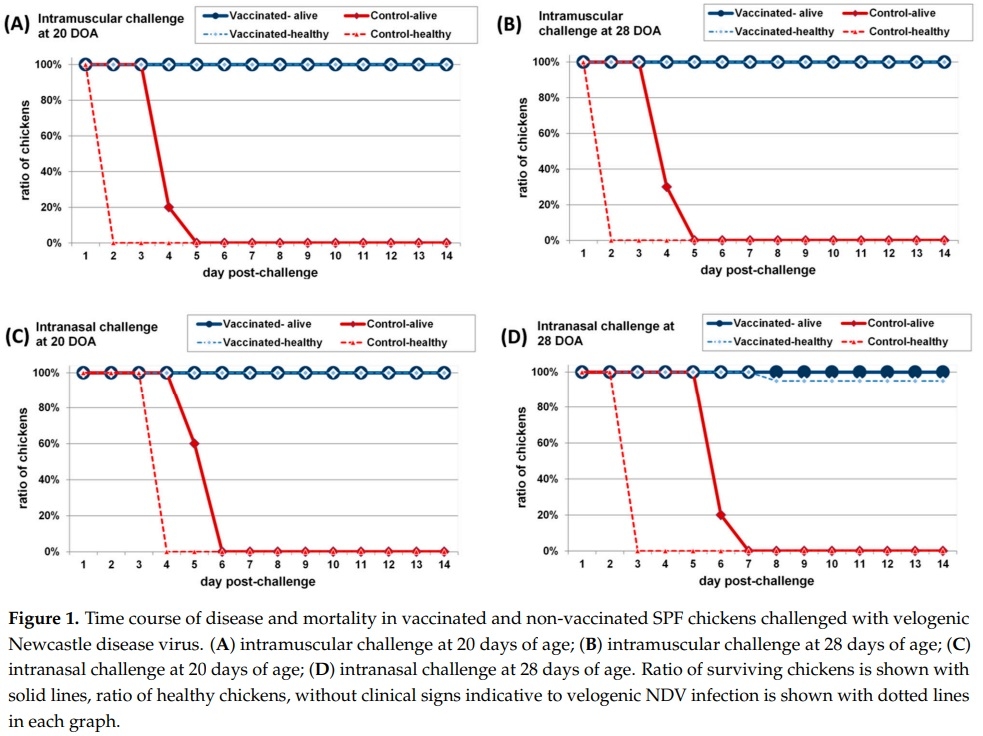 Efficacy of a Turkey Herpesvirus Vectored Newcastle Disease Vaccine against Genotype VII.1.1 Virus: Challenge Route Affects Shedding Pattern - Image 5