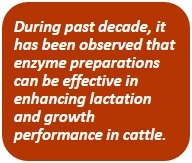 Technological advancement in poultry and livestock enzymes - Image 8