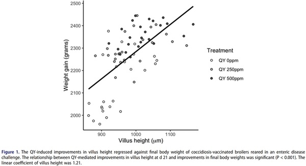 The combination of quillaja and yucca saponins in broilers: effects on performance, nutrient digestibility and ileal morphometrics - Image 9