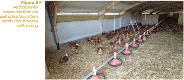 Enrichment for broilers and turkeys – from theoretical consideration to practical application - Image 8