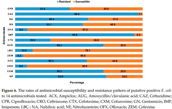 Multi-Drug Resistant Escherichia coli, Biosecurity and Anti-Microbial Use in Live Bird Markets, Abeokuta, Nigeria - Image 12