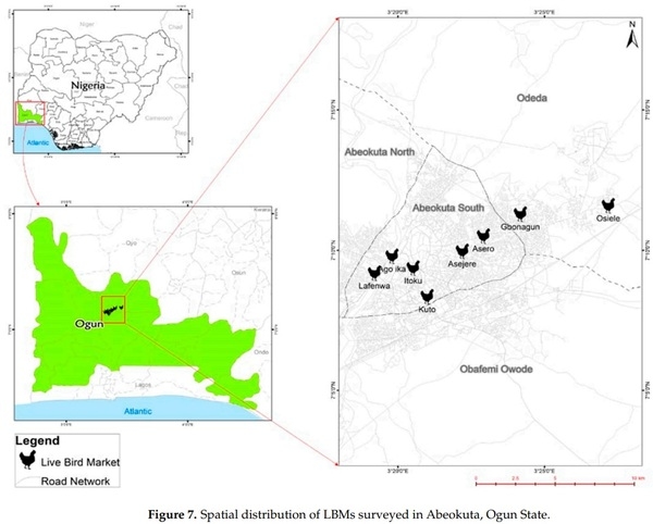 Multi-Drug Resistant Escherichia coli, Biosecurity and Anti-Microbial Use in Live Bird Markets, Abeokuta, Nigeria - Image 16