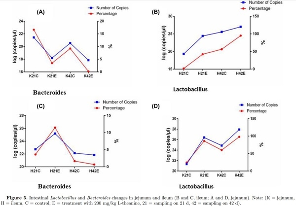 16S ribosomal RNA sequencing reveals a modulation of intestinal microbiome and immune response by dietary L-theanine supplementation in broiler chickens - Image 7