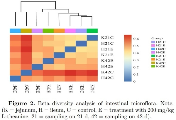 16S ribosomal RNA sequencing reveals a modulation of intestinal microbiome and immune response by dietary L-theanine supplementation in broiler chickens - Image 4