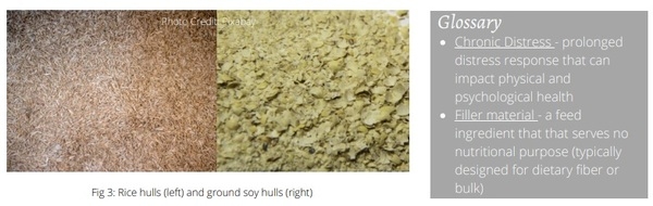 Welfare Aspects of Broiler Breeder Feeding Regimes - Image 7