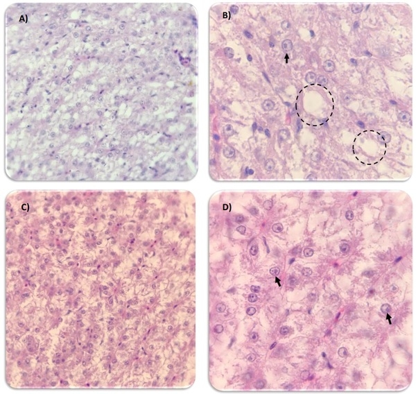 Carvacrol, Thymol and Allicin (Coxsan®) Evaluation in Tilapia (Oreochromis Sp.) - Image 1