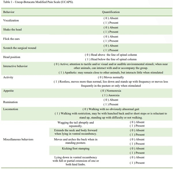 The analgesic effect of preventive administration of meloxicam in calves submitted to hot-iron dehorning - Image 1