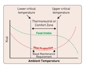 Block the Summer Shock by Nutritional Intervention - Image 3