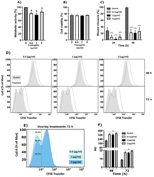 Aspergillus fumigatus Fumagillin Contributes to Host Cell Damage - Image 3