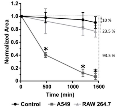 Aspergillus fumigatus Fumagillin Contributes to Host Cell Damage - Image 2