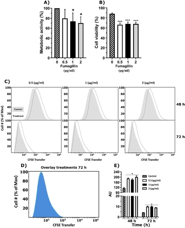 Aspergillus fumigatus Fumagillin Contributes to Host Cell Damage - Image 4