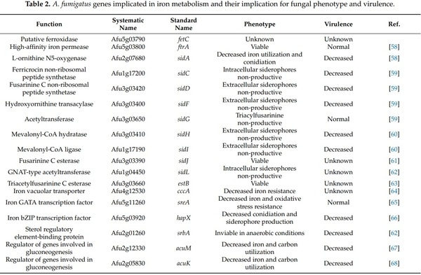Nitrogen, Iron, and Zinc Acquisition: Key Nutrients to Aspergillus fumigatus Virulence - Image 4
